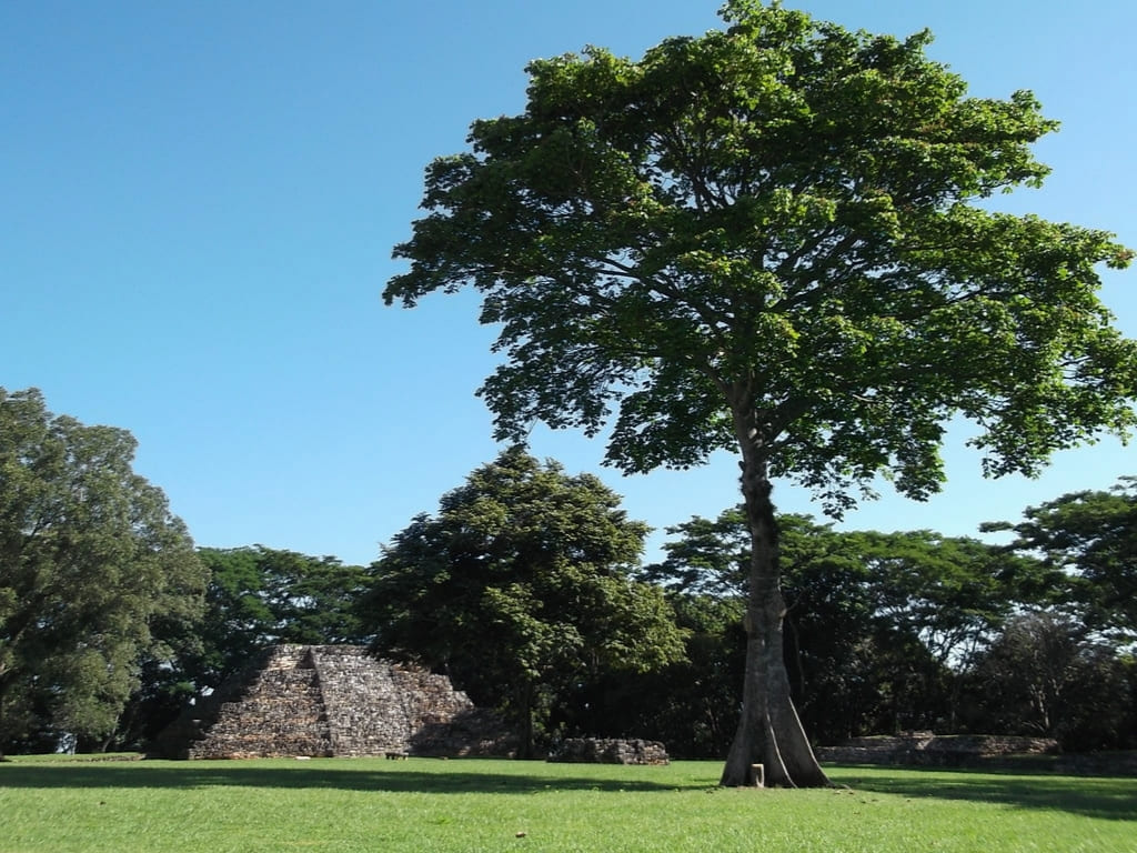 Esplendoroso Pomoná, sitio arqueológico de la civilización maya