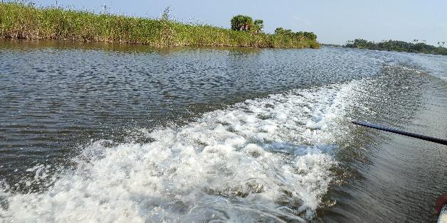 PLACERES DEL LEGENDARIO RÍO SAN PEDRO MÁRTIR Y UNA VISIÓN DE DESARROLLO REGIONAL TREN MAYA