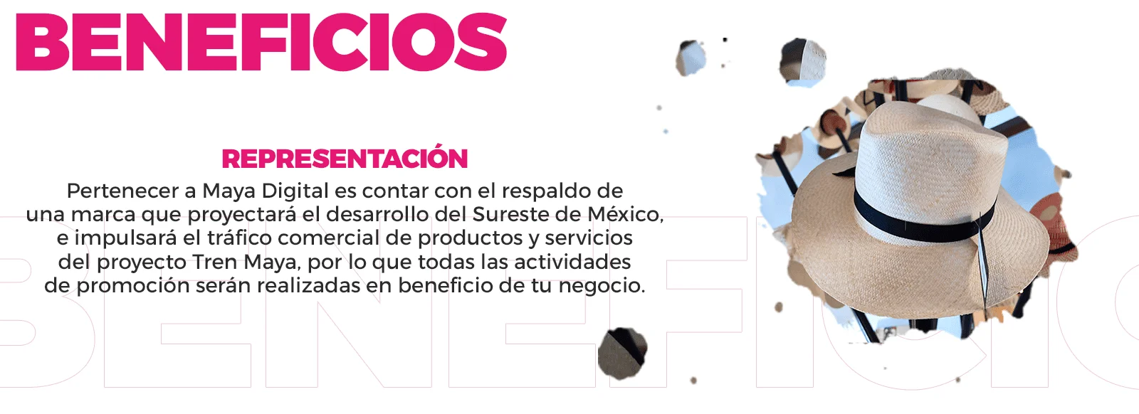 Slide BENEFICIOS 2